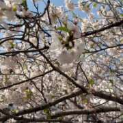 ヒメ日記 2026/04/05 14:46 投稿 塚田まゆな MADAM