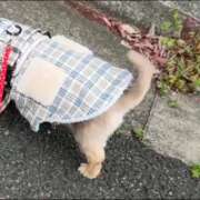 ヒメ日記 2026/04/07 18:01 投稿 塚田まゆな MADAM