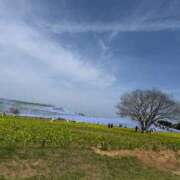 ヒメ日記 2026/04/15 06:31 投稿 塚田まゆな MADAM