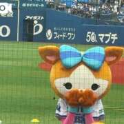 ヒメ日記 2026/06/05 22:31 投稿 塚田まゆな MADAM