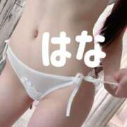 ヒメ日記 2026/01/02 10:01 投稿 秋元はな 華椿