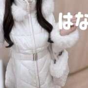 ヒメ日記 2026/01/20 14:46 投稿 秋元はな 華椿