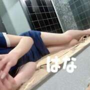 ヒメ日記 2026/02/08 12:01 投稿 秋元はな 華椿