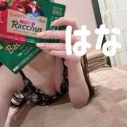 ヒメ日記 2026/02/10 13:46 投稿 秋元はな 華椿