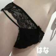 ヒメ日記 2026/02/12 14:16 投稿 秋元はな 華椿