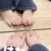 ヒメ日記 2026/02/16 16:01 投稿 秋元はな 華椿