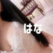 ヒメ日記 2026/02/18 08:46 投稿 秋元はな 華椿