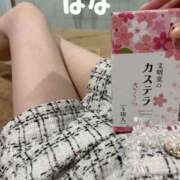 ヒメ日記 2026/02/19 16:46 投稿 秋元はな 華椿