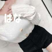 ヒメ日記 2026/04/08 11:31 投稿 秋元はな 華椿