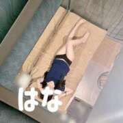 ヒメ日記 2026/06/23 13:01 投稿 秋元はな 華椿