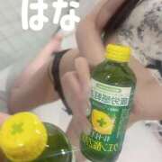ヒメ日記 2026/07/04 11:46 投稿 秋元はな 華椿