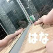 ヒメ日記 2026/09/19 11:46 投稿 秋元はな 華椿