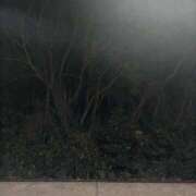 ヒメ日記 2026/01/31 08:31 投稿 谷口ももか MADAM