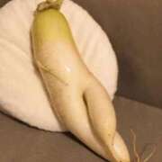 ヒメ日記 2026/02/22 08:46 投稿 谷口ももか MADAM