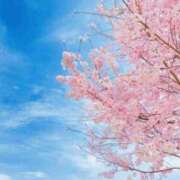 ヒメ日記 2026/04/04 07:16 投稿 谷口ももか MADAM