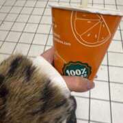 ヒメ日記 2026/03/17 10:01 投稿 板野のあ 華椿