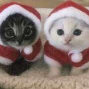 ヒメ日記 2025/12/22 15:16 投稿 ゆずは CUTE