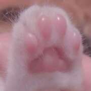 ヒメ日記 2025/12/28 22:31 投稿 ゆずは CUTE