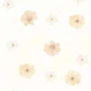 ヒメ日記 2026/01/12 14:31 投稿 ゆずは CUTE