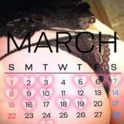 ヒメ日記 2026/02/28 15:01 投稿 青山まゆか MADAM