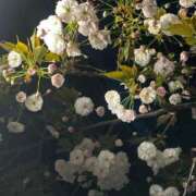 青山まゆか 桜の季節も MADAM