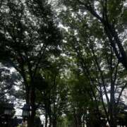 ヒメ日記 2026/07/01 16:16 投稿 青山まゆか MADAM