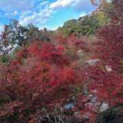 ヒメ日記 2026/10/01 16:46 投稿 青山まゆか MADAM