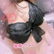 ヒメ日記 2026/03/14 06:01 投稿 石野やよい 華椿