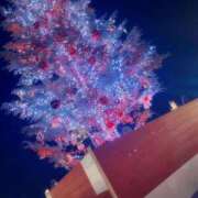 ヒメ日記 2025/12/22 22:46 投稿 中谷いくみ MADAM