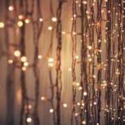 ヒメ日記 2025/12/30 16:31 投稿 櫻井かのん 華椿