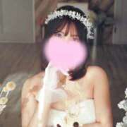 ヒメ日記 2026/04/02 13:31 投稿 吉乃あいな 華椿