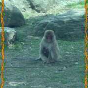 小松えりこ そこまで？ MADAM