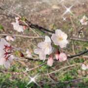 小松えりこ 早いな〜 MADAM