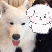 あかり 明日? CUTE