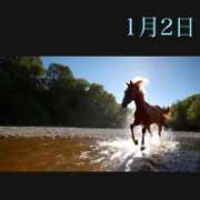 ヒメ日記 2026/01/02 06:46 投稿 宮野わかな MADAM