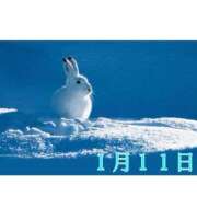 ヒメ日記 2026/01/11 06:01 投稿 宮野わかな MADAM