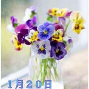 ヒメ日記 2026/01/20 07:31 投稿 宮野わかな MADAM