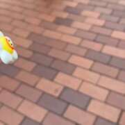 ヒメ日記 2026/01/26 21:31 投稿 宮野わかな MADAM