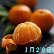 ヒメ日記 2026/01/28 06:46 投稿 宮野わかな MADAM