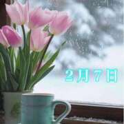 ヒメ日記 2026/02/07 08:46 投稿 宮野わかな MADAM