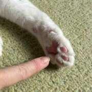 ヒメ日記 2026/02/22 14:31 投稿 宮野わかな MADAM