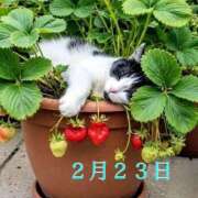 ヒメ日記 2026/02/23 09:16 投稿 宮野わかな MADAM