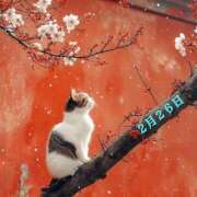 宮野わかな 出勤させていただきます MADAM