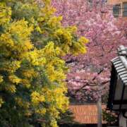 ヒメ日記 2026/03/09 14:01 投稿 宮野わかな MADAM