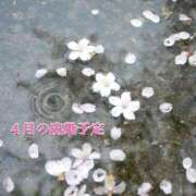 ヒメ日記 2026/03/31 15:01 投稿 宮野わかな MADAM