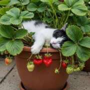 ヒメ日記 2026/04/01 11:01 投稿 宮野わかな MADAM