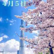 ヒメ日記 2026/04/05 06:46 投稿 宮野わかな MADAM