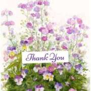 宮野わかな ありがとうございました MADAM