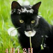 宮野わかな 出勤させていただきます MADAM