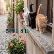 ヒメ日記 2026/05/18 07:31 投稿 宮野わかな MADAM
